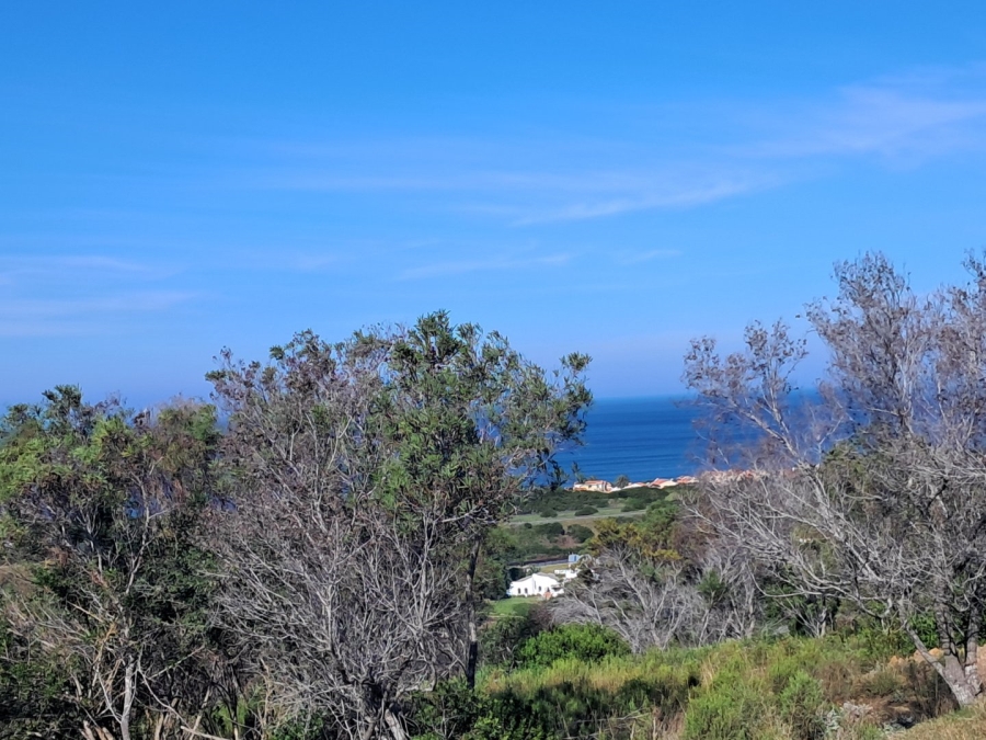 Commercial Property for Sale in Avonddans Western Cape